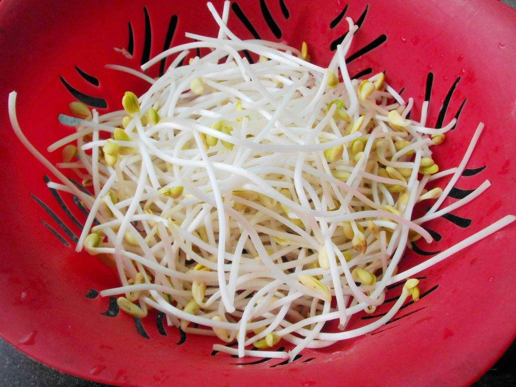 没冰箱豆芽怎么保存-可以这样保存