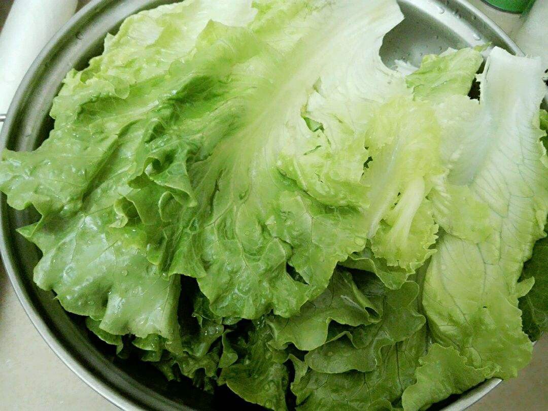 生菜能放冰箱保存吗-生菜要怎么保存