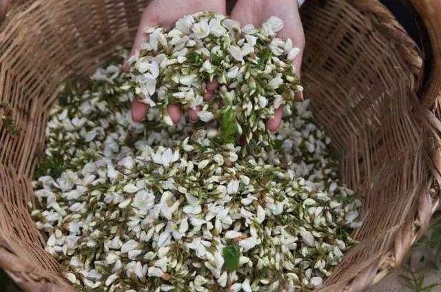 槐花放冰箱一年了还能吃吗-槐花保养方法盘点