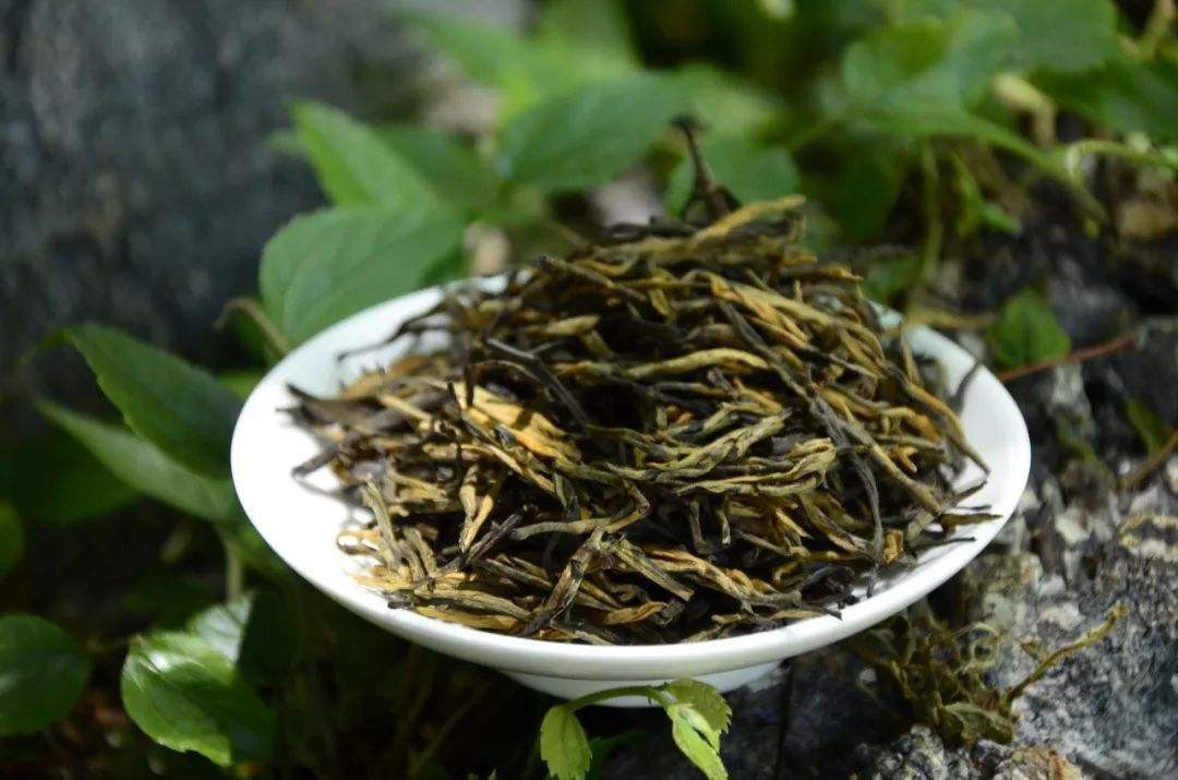 茶叶为什么要放冰箱-看看原因吧