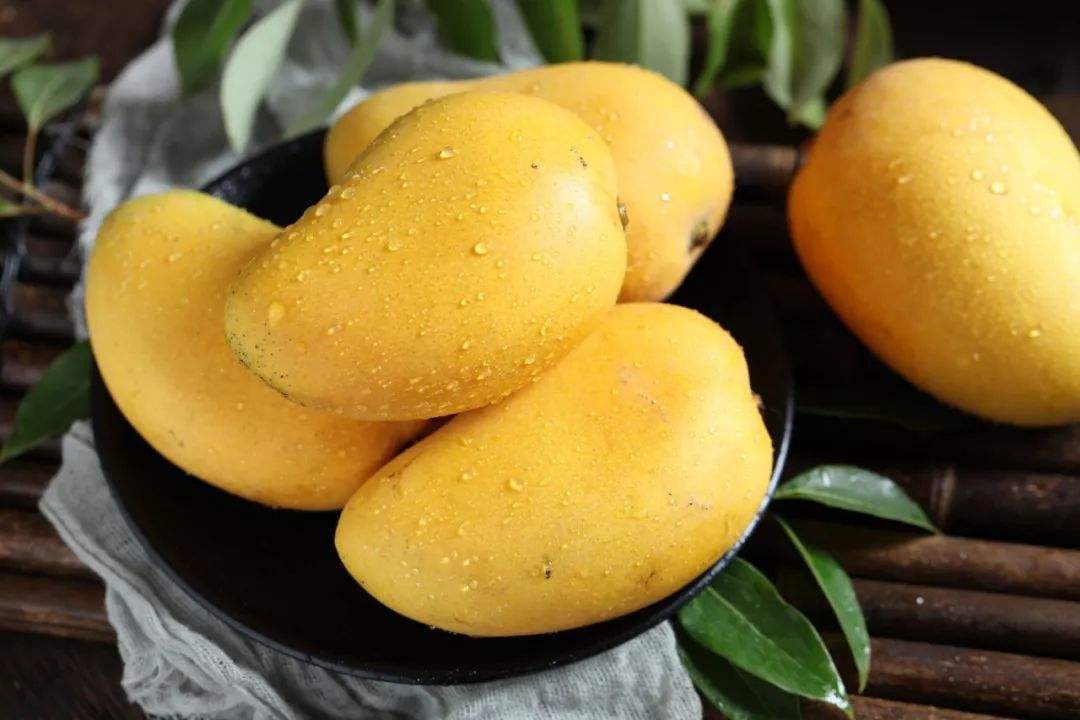 已经成熟的芒果可以放冰箱吗?如何保存?-成熟的芒果冰箱保存好不好